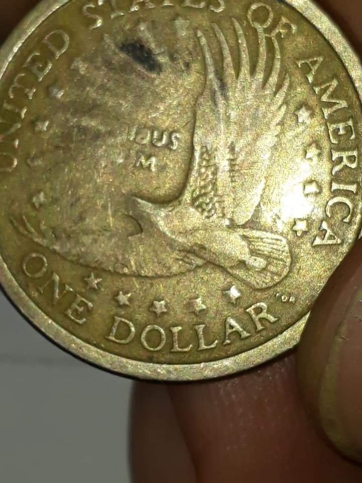 2000-Sacagawea-Damage-Or-Error-Help-?